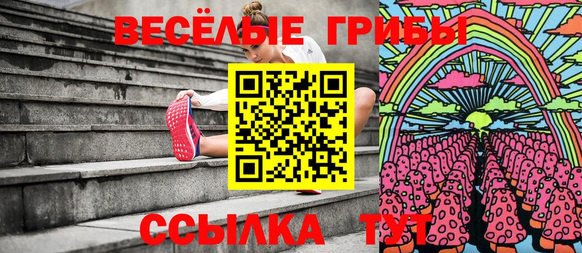 Псилоцибиновые грибы MAGIC MUSHROOMS  Вход с VPN  Майский 