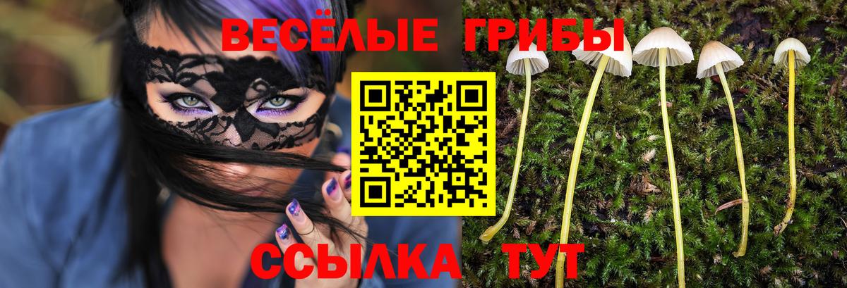 Псилоцибиновые грибы Psilocybine cubensis Майский
